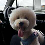 ヒメ日記 2025/05/05 21:22 投稿 なな 宮城♂風俗の神様 仙台店