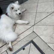 ヒメ日記 2025/05/15 20:42 投稿 なな 宮城♂風俗の神様 仙台店