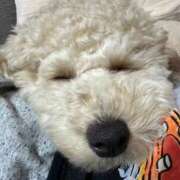 ヒメ日記 2025/06/19 16:42 投稿 なな 宮城♂風俗の神様 仙台店