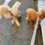 ヒメ日記 2025/06/19 18:03 投稿 なな 宮城♂風俗の神様 仙台店