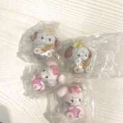 ヒメ日記 2025/06/21 18:45 投稿 もね アラカルト