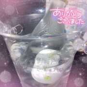 ヒメ日記 2025/02/19 20:49 投稿 あんず さくらん