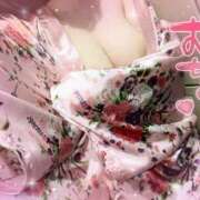 ヒメ日記 2025/04/04 18:04 投稿 あんず さくらん