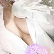 ヒメ日記 2025/05/24 18:11 投稿 あんず さくらん