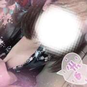 ヒメ日記 2025/06/29 18:44 投稿 あんず さくらん