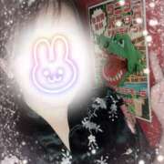 ヒメ日記 2025/07/10 18:19 投稿 あんず さくらん