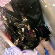 ヒメ日記 2025/07/22 18:21 投稿 あんず さくらん