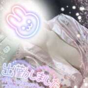 ヒメ日記 2025/07/31 16:47 投稿 あんず さくらん