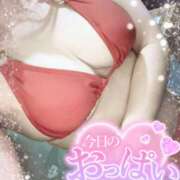 ヒメ日記 2025/08/16 18:38 投稿 あんず さくらん