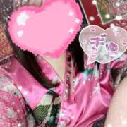 ヒメ日記 2025/11/02 19:41 投稿 あんず さくらん