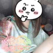 ヒメ日記 2025/11/12 18:23 投稿 あんず さくらん