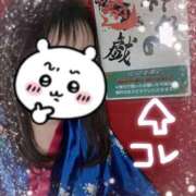 ヒメ日記 2025/12/12 18:10 投稿 あんず さくらん