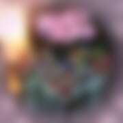 ヒメ日記 2025/12/22 20:24 投稿 あんず さくらん