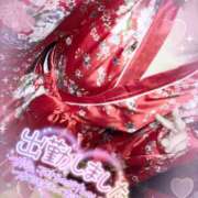 ヒメ日記 2025/12/31 12:04 投稿 あんず さくらん