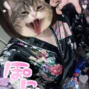 ヒメ日記 2026/01/22 18:22 投稿 あんず さくらん