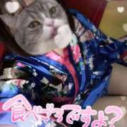 ヒメ日記 2026/01/28 15:47 投稿 あんず さくらん