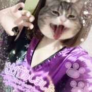 ヒメ日記 2026/03/05 18:39 投稿 あんず さくらん