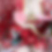 ヒメ日記 2026/03/25 20:43 投稿 あんず さくらん