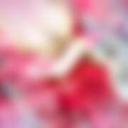 ヒメ日記 2026/04/17 20:13 投稿 あんず さくらん