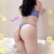 ヒメ日記 2025/04/13 10:46 投稿 河合しょうこ 月の真珠-五反田-