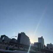 ヒメ日記 2025/04/17 17:34 投稿 河合しょうこ 月の真珠-五反田-