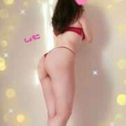 ヒメ日記 2025/04/23 18:16 投稿 河合しょうこ 月の真珠-五反田-