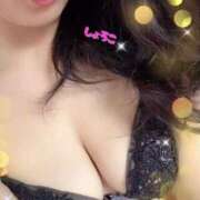 ヒメ日記 2025/04/24 08:17 投稿 河合しょうこ 月の真珠-五反田-