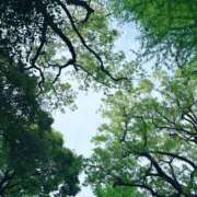 ヒメ日記 2025/04/27 16:27 投稿 河合しょうこ 月の真珠-五反田-