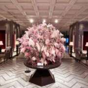 ヒメ日記 2025/05/04 13:41 投稿 河合しょうこ 月の真珠-五反田-