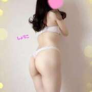 ヒメ日記 2025/08/13 13:31 投稿 河合しょうこ 月の真珠-五反田-