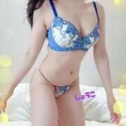 ヒメ日記 2025/08/22 13:36 投稿 河合しょうこ 月の真珠-五反田-