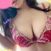 ヒメ日記 2025/08/23 12:46 投稿 河合しょうこ 月の真珠-五反田-