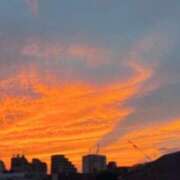 ヒメ日記 2025/09/03 19:26 投稿 河合しょうこ 月の真珠-五反田-