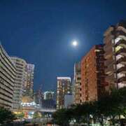 ヒメ日記 2025/09/07 20:46 投稿 河合しょうこ 月の真珠-五反田-