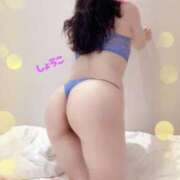 ヒメ日記 2025/10/08 16:50 投稿 河合しょうこ 月の真珠-五反田-