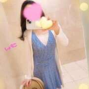 ヒメ日記 2025/10/15 00:10 投稿 河合しょうこ 月の真珠-五反田-