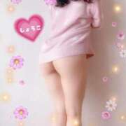 ヒメ日記 2025/10/23 22:10 投稿 河合しょうこ 月の真珠-五反田-