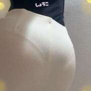 ヒメ日記 2025/10/31 08:30 投稿 河合しょうこ 月の真珠-五反田-