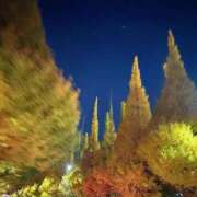 ヒメ日記 2025/11/19 02:20 投稿 河合しょうこ 月の真珠-五反田-