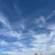 ヒメ日記 2025/11/23 15:50 投稿 河合しょうこ 月の真珠-五反田-