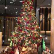 ヒメ日記 2025/11/30 20:20 投稿 河合しょうこ 月の真珠-五反田-