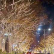 ヒメ日記 2025/12/02 23:51 投稿 河合しょうこ 月の真珠-五反田-