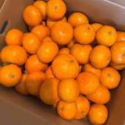 ヒメ日記 2025/12/04 11:50 投稿 河合しょうこ 月の真珠-五反田-