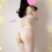 ヒメ日記 2026/02/28 22:50 投稿 河合しょうこ 月の真珠-五反田-