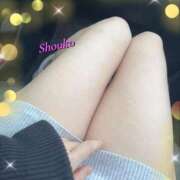 ヒメ日記 2026/03/21 17:20 投稿 河合しょうこ 月の真珠-五反田-