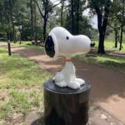 ヒメ日記 2025/04/26 18:09 投稿 りお 八王子デリ倶楽部