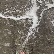 ヒメ日記 2026/04/01 19:27 投稿 りお 八王子デリ倶楽部