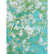 ヒメ日記 2025/05/04 17:29 投稿 えり 福島美女図鑑