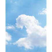 ヒメ日記 2025/06/29 11:31 投稿 えり 福島美女図鑑