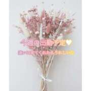 ヒメ日記 2025/07/14 13:29 投稿 えり 福島美女図鑑